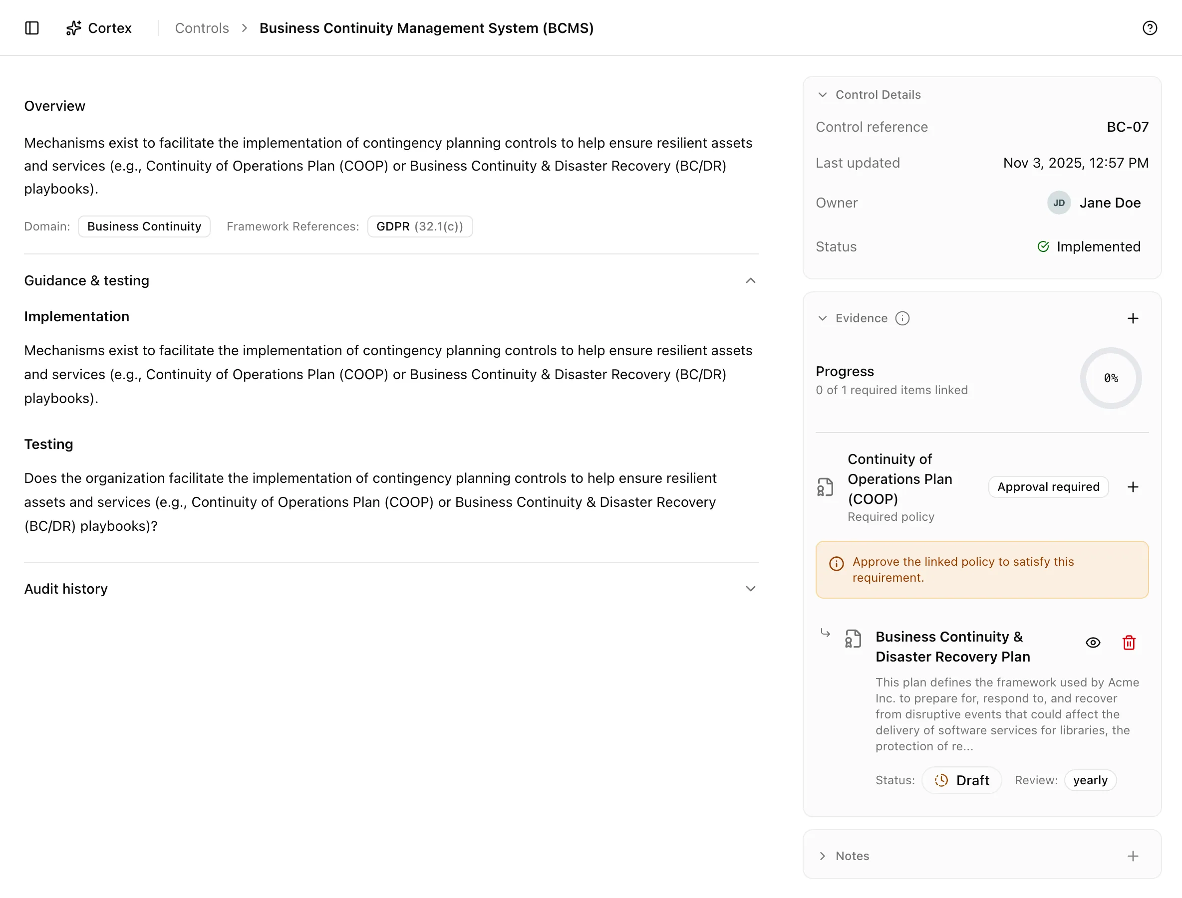 A control page with the property rows, evidence slots, notes, and the guidance accordion