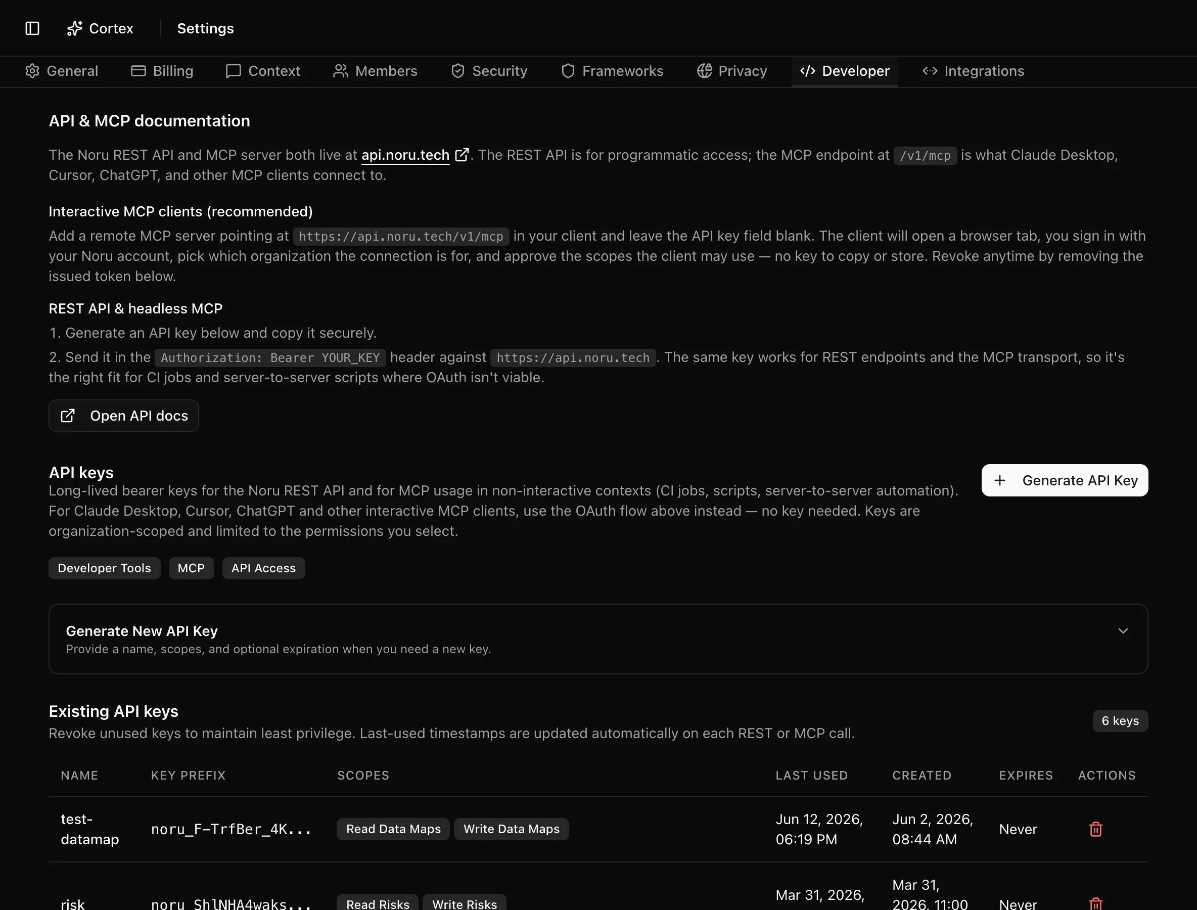 Developer tab with the API and MCP documentation card and the API keys card