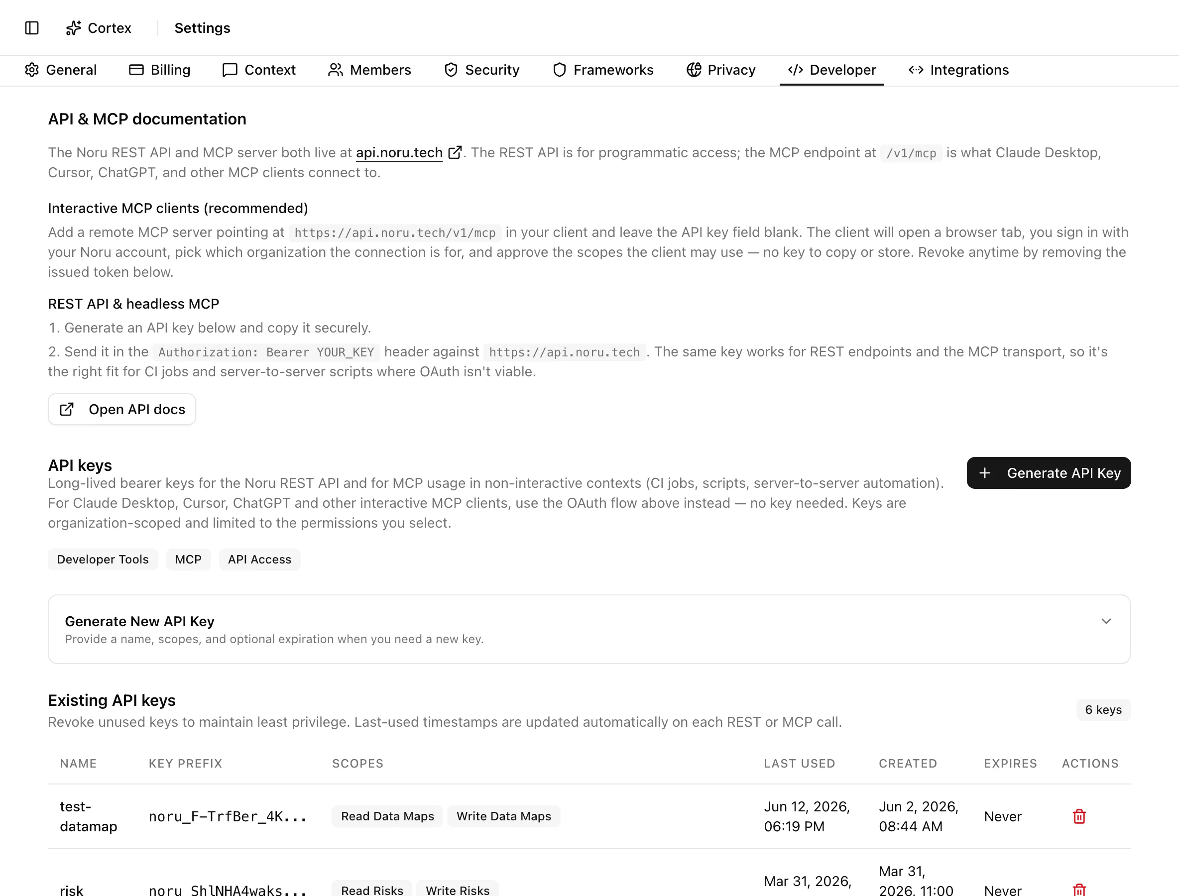 Developer tab with the API and MCP documentation card and the API keys card